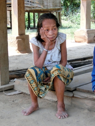 mekong (51)